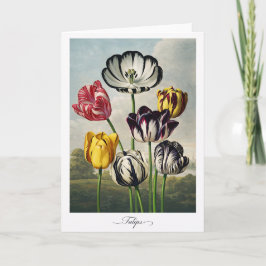 Cartão Tulips — Modern Botanical Reinterpretation