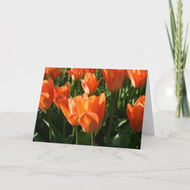 Cartão Tulips NoteCard (Frente)
