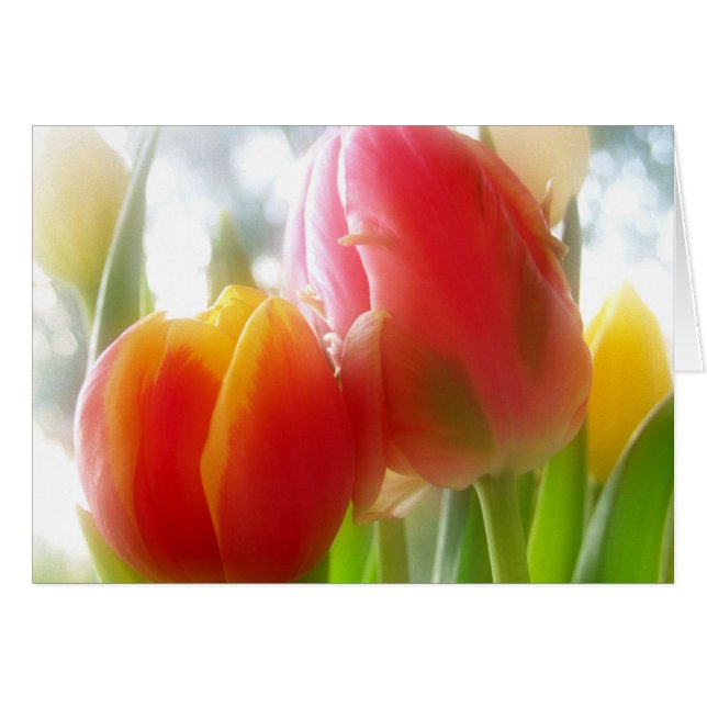 Cartão tulipsTWOgether Card (Frente Horizontal)