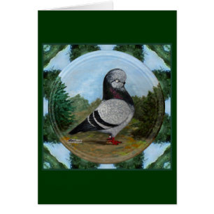 Cartão Tumbler Blue Grizzle