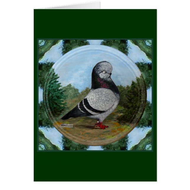 Cartão Tumbler Blue Grizzle (Frente)