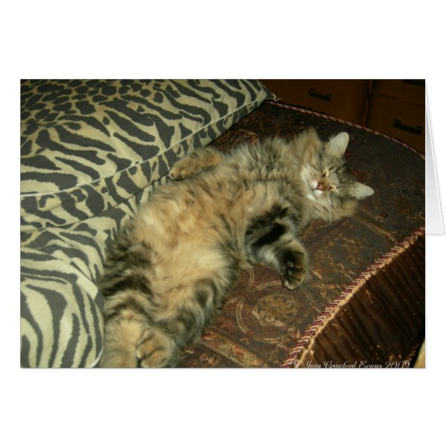 Cartão Tumor (Frente Horizontal)