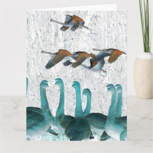 Cartão Tundra Swan Birds Wildlife Animals Greeting Card