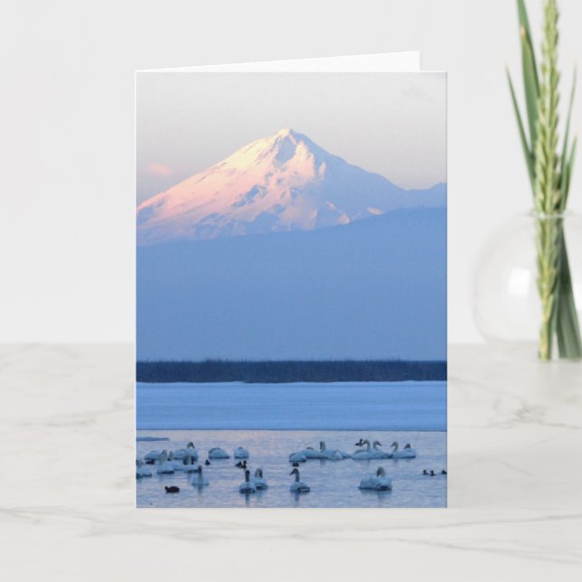 Cartão Tundra Swans and Mount Shasta (Frente)