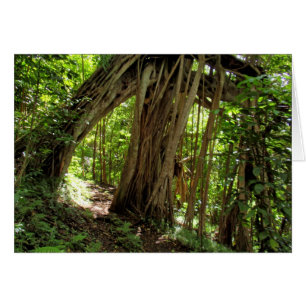 Cartão Túnel de árvore fig