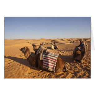 Cartão Tunísia, Área de Ksour, Ksar Ghilane, Grand Erg 3