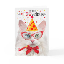 Turco Angora Cat MEOWvelous Aniversário