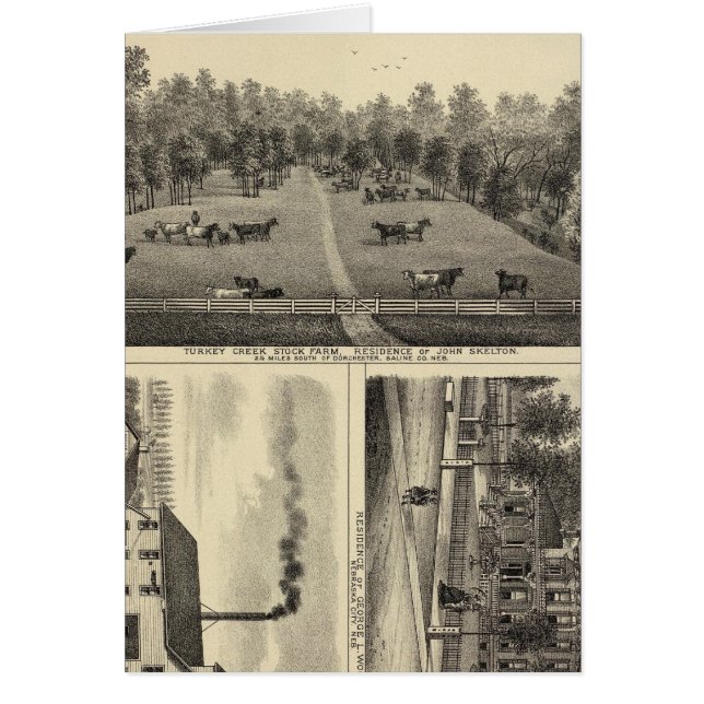 Cartão Turkey Creek Fazenda, Nebraska (Frente)