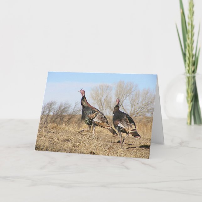 Cartão Turkey Horizon (Frente)