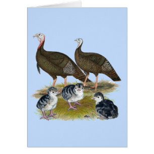 Cartão Turkeys East Wild Family