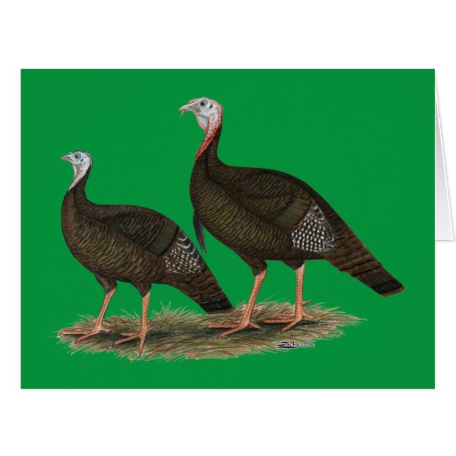 Cartão Turkeys East Wild Pair (Frente horizontal)