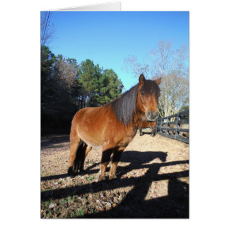 Cartão Turquesa do pônei castanho