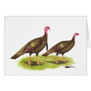 Cartão Turquia: Bronze Selvagem