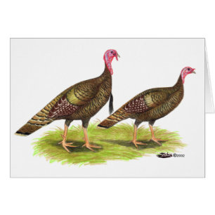 Cartão Turquia: Bronze Selvagem