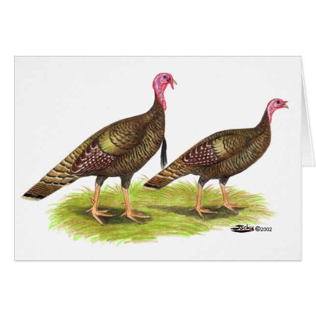 Cartão Turquia: Bronze Selvagem (Frente Horizontal)