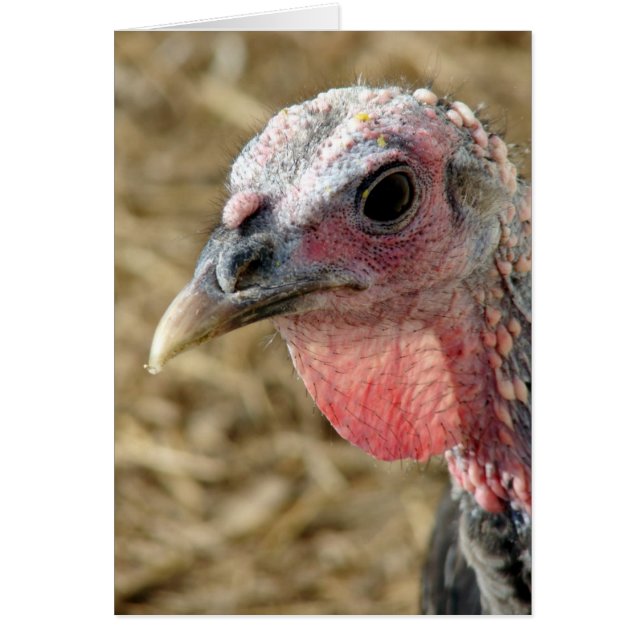 Cartão Turquia de Bronze (Frente)