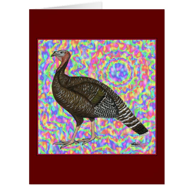 Cartão Turquia Rainbow (Frente)