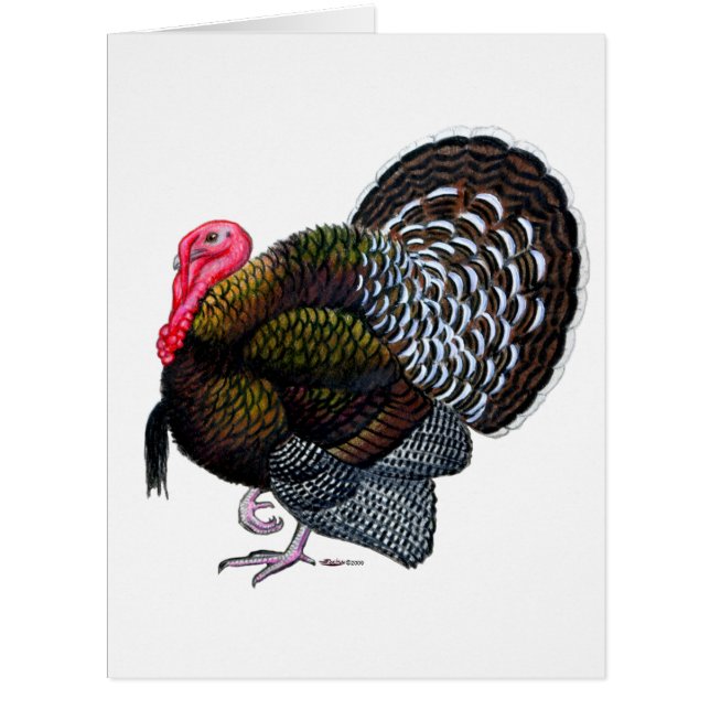 Cartão Turquia: Tom de Bronze (Frente)