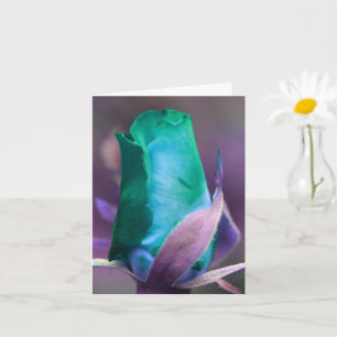 Cartão Turquoise Rosebud Fotografia com Flor