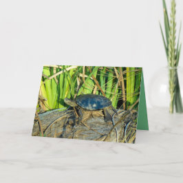 Cartão Turtle in the Sun Greeting Card