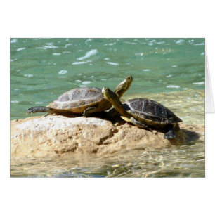 Cartão Turtle Love