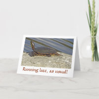 TURTLE ON ROCK/BELATED BIRTHDAY CARD/CUSTOMIZABLE