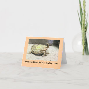 CARTÃO "TURTLE TURNED ON ITS BACK" GET WELL CARD
