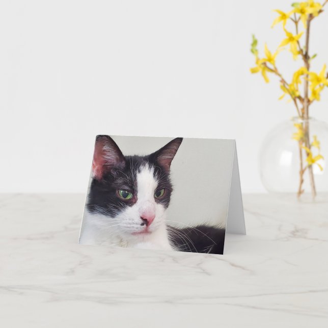 Cartão Tuxedo cat (Flor Amarela)