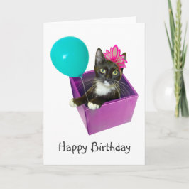 Cartão Tuxedo Cat Birthday