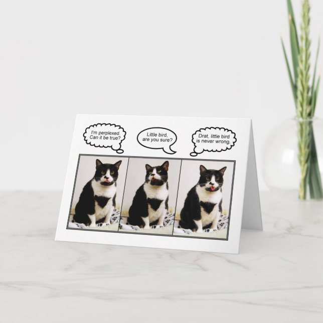 Cartão Tuxedo Cat Birthday Humor Card (Frente)