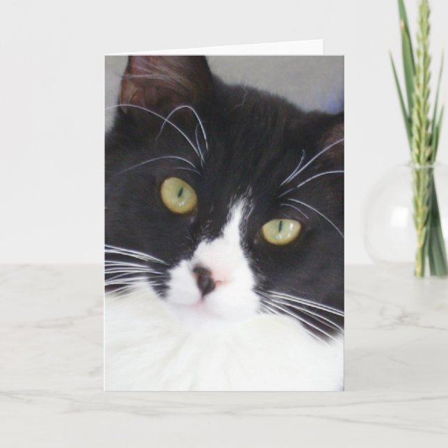 Cartão Tuxedo Cat Face Greeting Card (Frente)