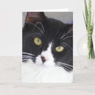 Cartão Tuxedo Cat Face Greeting Card