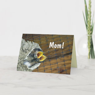 Cartão Twin Baby Birds Mother's Day Card