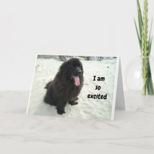 CARTÃO TWIN EU AMO COMPARTILHAR MEU ANIVERSÁRIO COM "VOCÊ