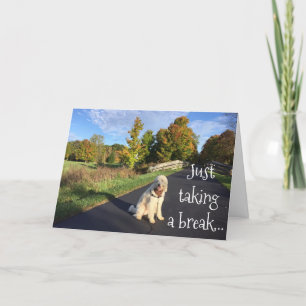 CARTÃO **TWIN** FAZENDO UMA QUEBRA PARA DIZER "ANIVERSÁRI