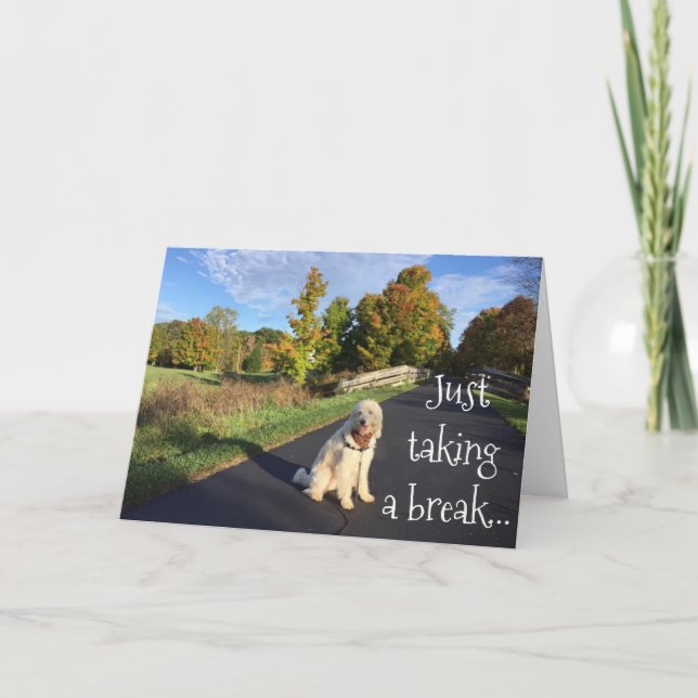 CARTÃO **TWIN** FAZENDO UMA QUEBRA PARA DIZER "ANIVERSÁRI (Frente)