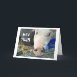 CARTÃO TWIN HUMOR ON AGE AND NOSES BY THIS GREAT PIT<br><div class="desc">THIS NOSY-BUT FRIENDLY-PIG IS TEASING 'his or her' TWIN and SAYING HAPPY BIRTHDAY WITH LOVE AND HUMOR!</div>