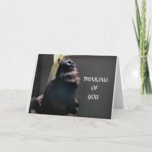 CARTÃO ***TWIN*** NO ANIVERSÁRIO