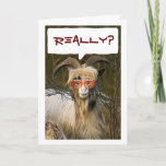 CARTÃO TWIN-REALLY, DID U THINK I'D FORGET YOUR BIRTHDAY!<br><div class="desc">THIS LONGHAIRED SUNGLASS WEARING GOAT IS SO MUCH FUN... HE WANTS TO PUT A HUGE "SMILE" ON "YOUR TWIN'S FACE" FOR HIS OR HER BIRTHDAY RIGHT NOW!!!!!</div>