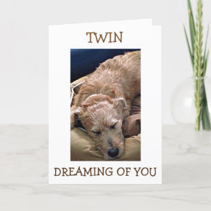 CARTÃO TWIN=SEU ANIVERSÁRIO MEUS PENSAMENTOS SÃO SOBRE "V