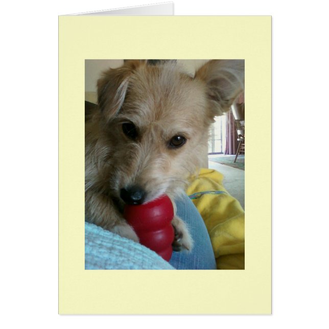 Cartão Twinkie o Cachorro Maravilha (Frente)