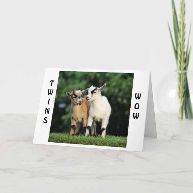 CARTÃO TWINS=WOW=PARABÉNS DIZ QUE OS CAMINHOS DE FALA (Frente)