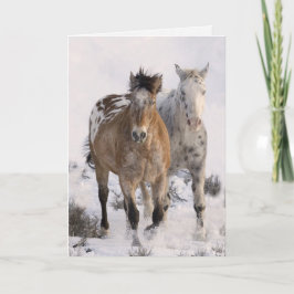 Cartão Two Appaloosas Horse Greeting Card
