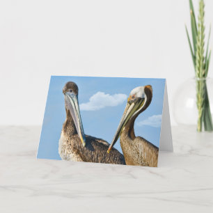 Cartão Two Brown Pelicans Note or Greeting Card