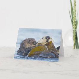 Cartão Two California Sea Otters
