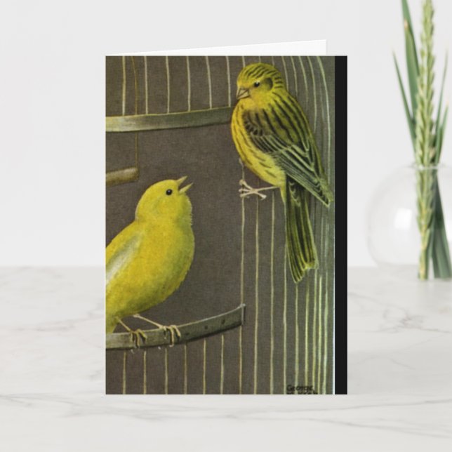 Cartão Two Canaries Painting  Art   Greeting Card (Frente)