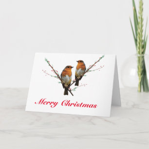 Cartão Two Christmas Robins
