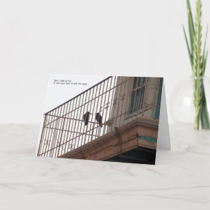 Cartão two crows birthday card