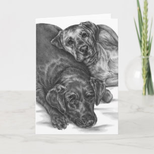 Cartão Two Cuddly Dogs Drawing by Kelli Swan