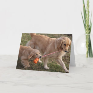 Cartão Two Dogs Blank Greeting Card